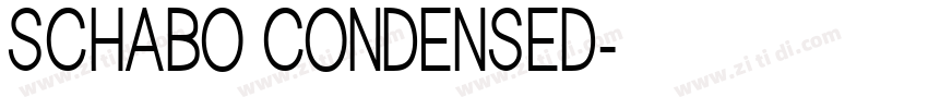 SCHABO CONDENSED字体转换